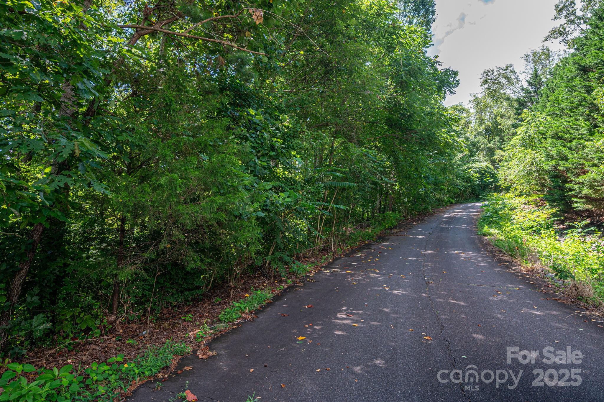 Lot 35 Line Drive Forest City NC 28043