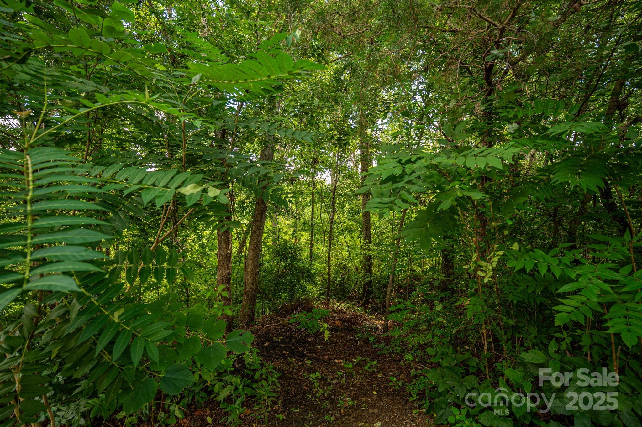 Lot 35 Line Drive Forest City NC 28043