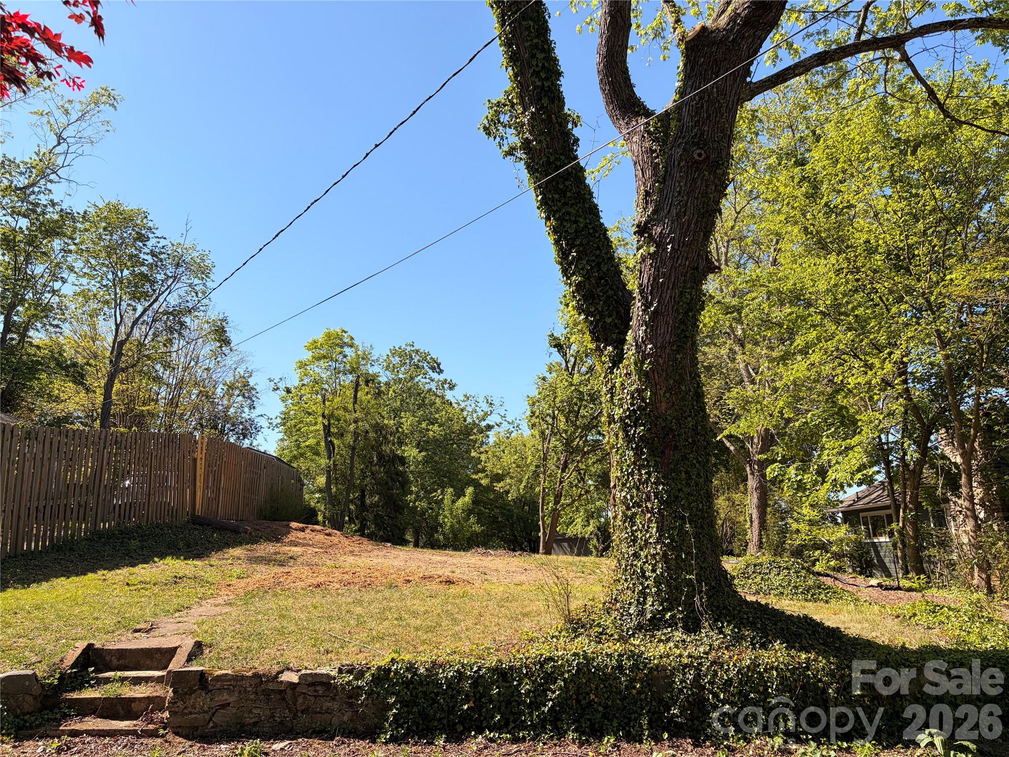 17 Irving Street Asheville NC 28803