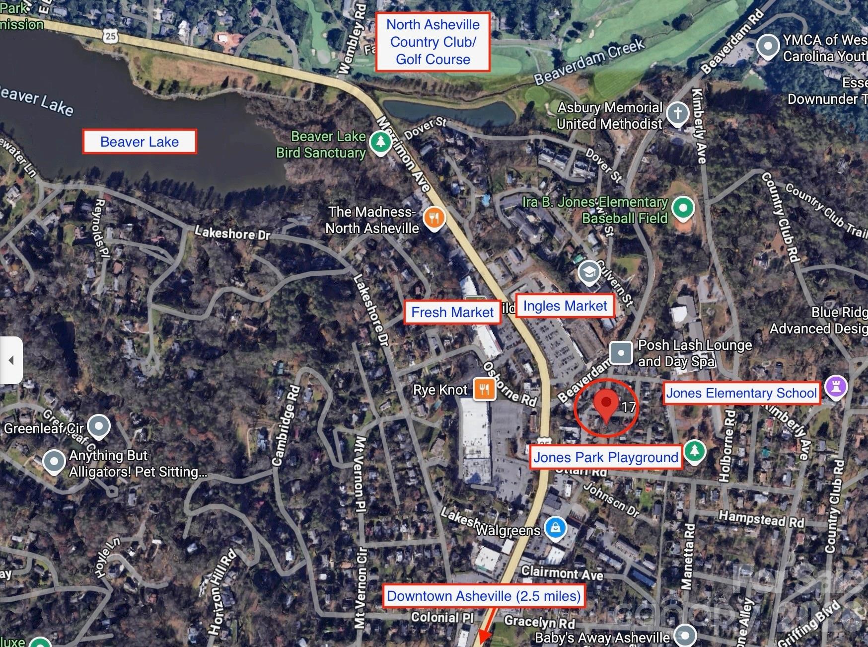 17 Irving Street Asheville NC 28803