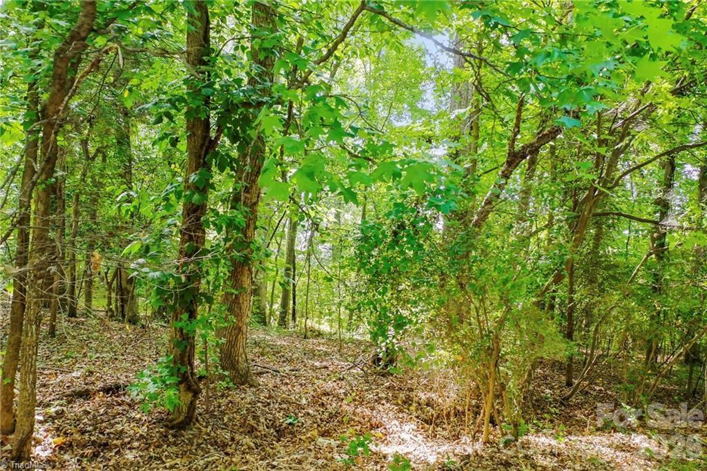 4446 Marion Drive Terrell NC 28682