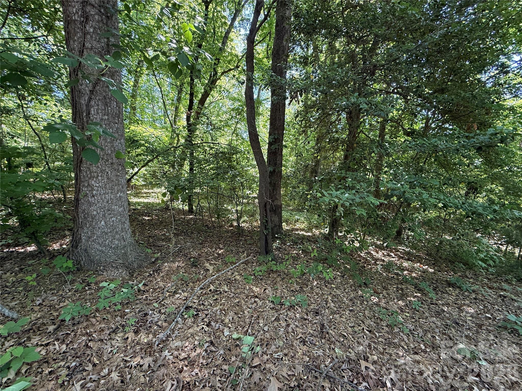 4446 Marion Drive Terrell NC 28682