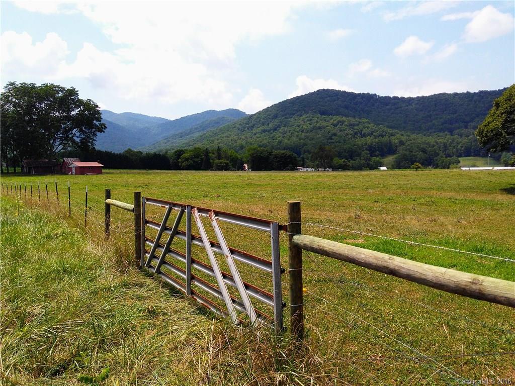 28 Davis Creek Road Candler NC 28715