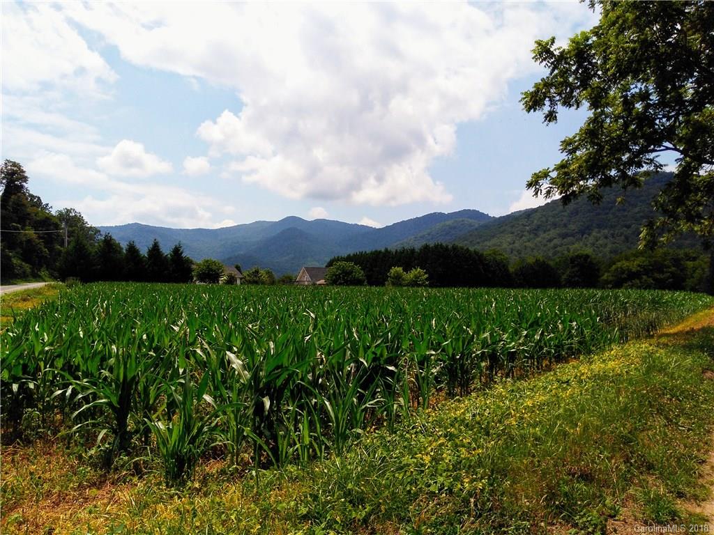 28 Davis Creek Road Candler NC 28715