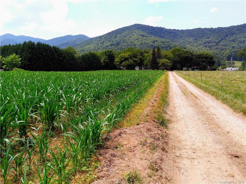 28 Davis Creek Road Candler NC 28715