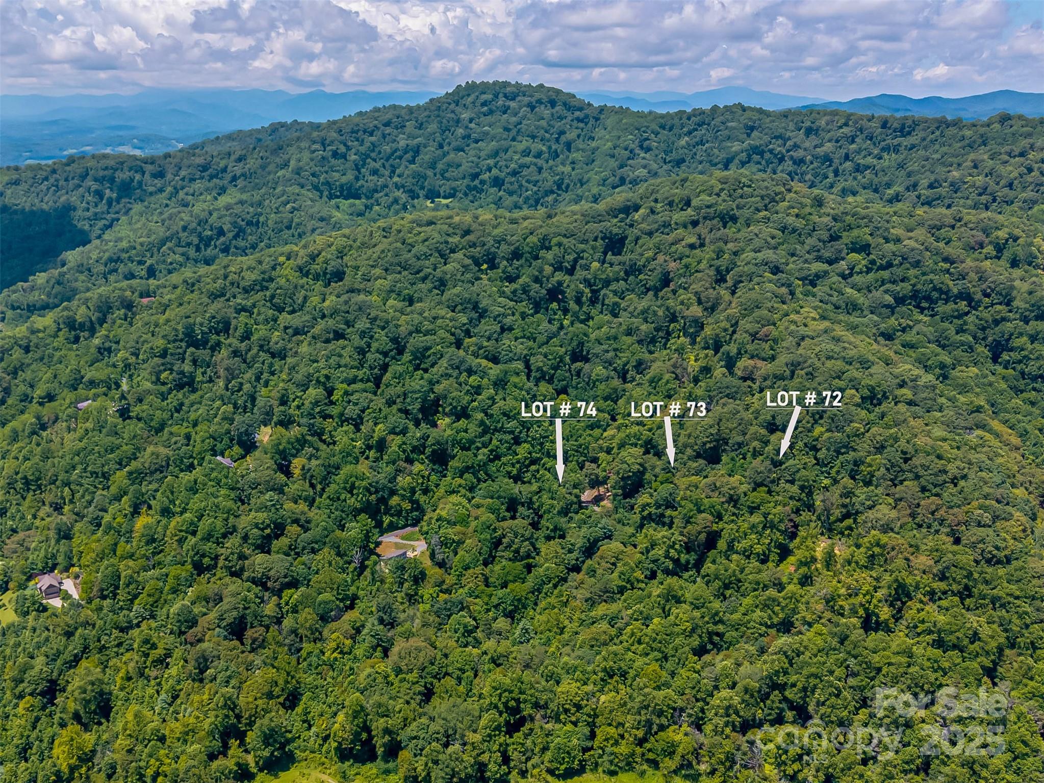 99999 Running Deer Lane Mars Hill NC 28754