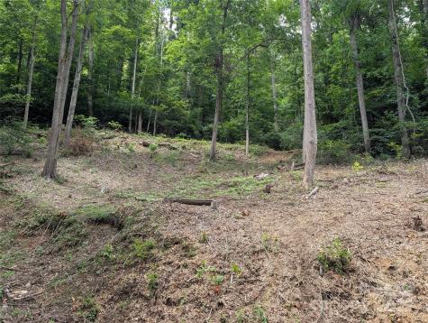 99999 Running Deer Lane Mars Hill NC 28754