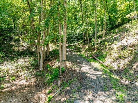 99999 Running Deer Lane Mars Hill NC 28754