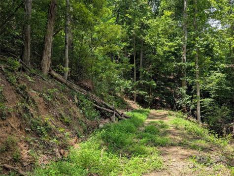 99999 Running Deer Lane Mars Hill NC 28754