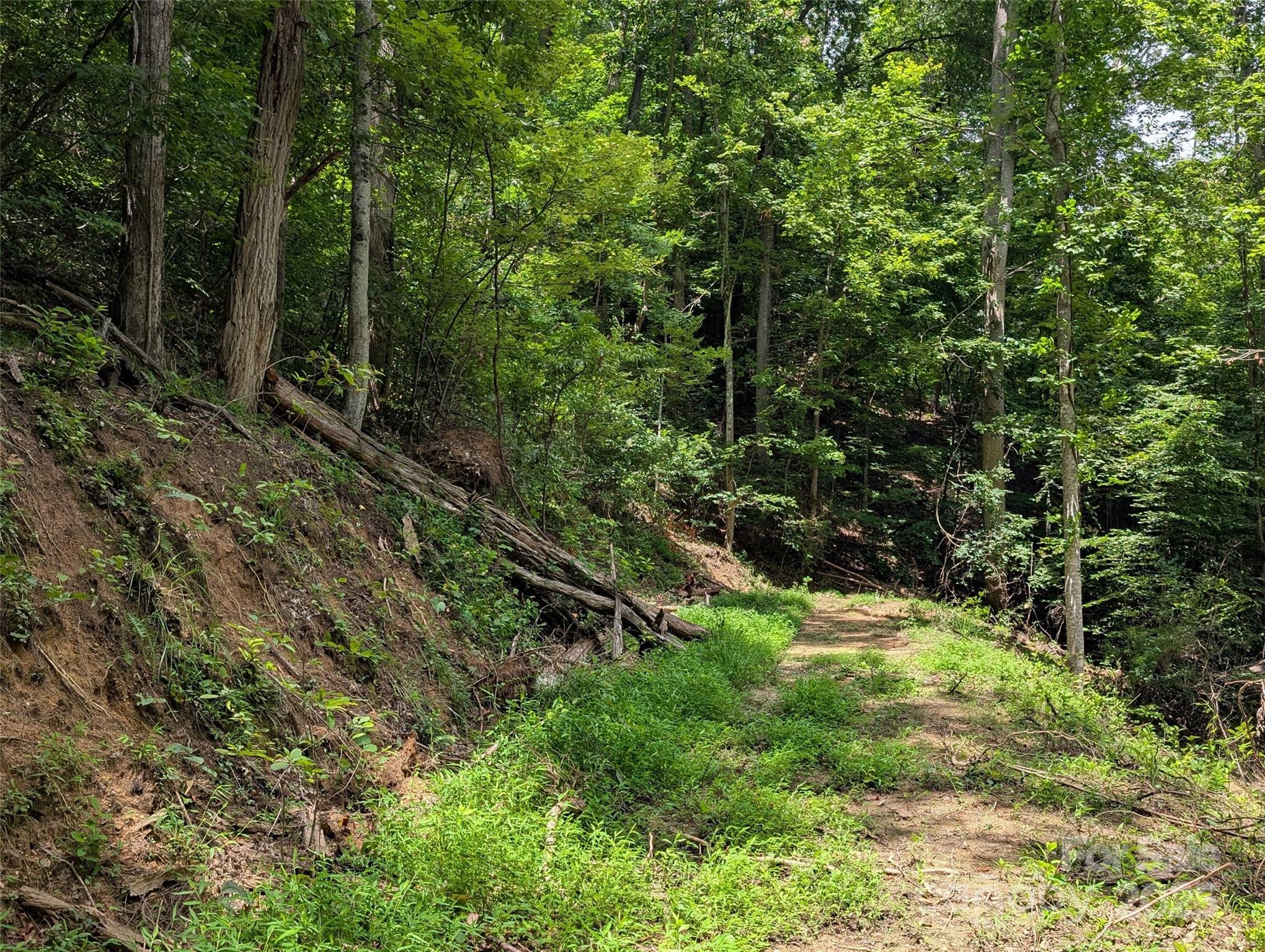 99999 Running Deer Lane Mars Hill NC 28754