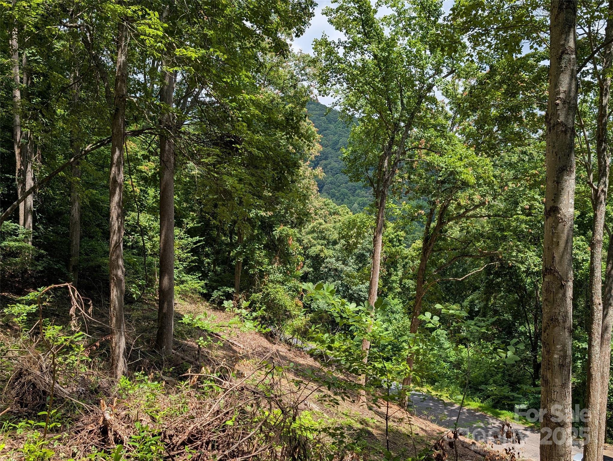 99999 Running Deer Lane Mars Hill NC 28754
