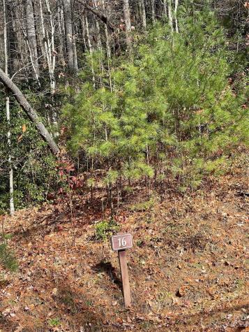 0000 Juniper Berry Lane Zirconia NC 28792