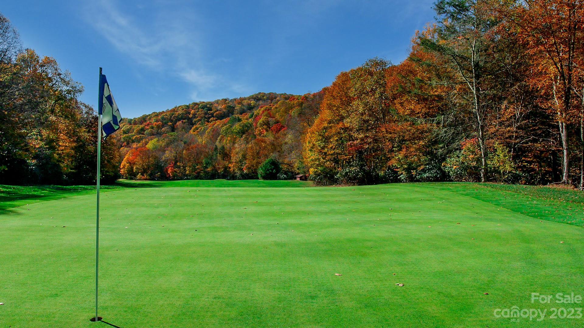 18 Chestnut Village Lane Mars Hill NC 28754