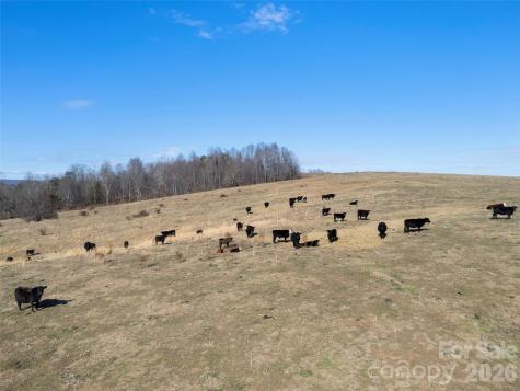 9999 Walker Road Nebo NC 28761