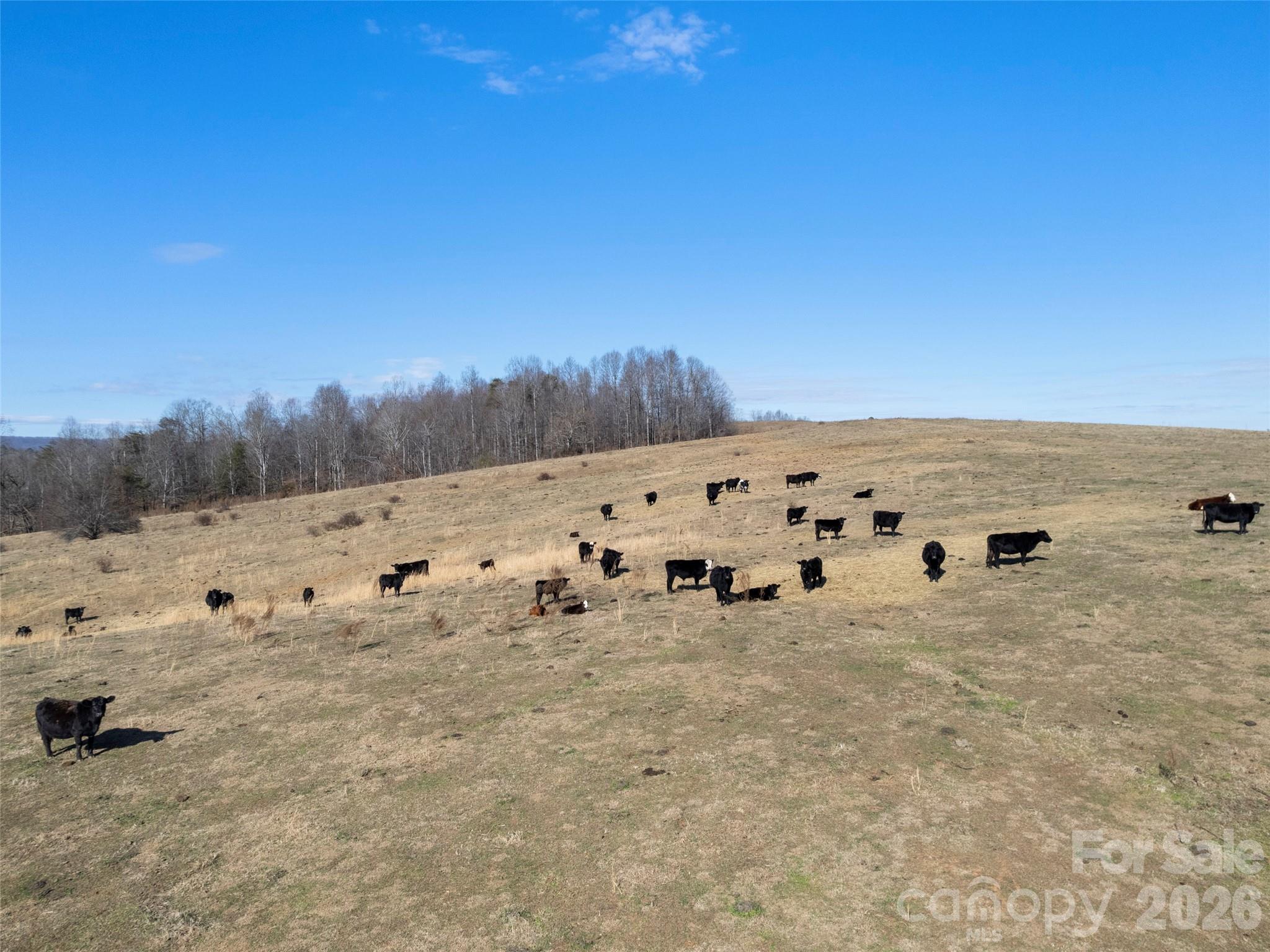 9999 Walker Road Nebo NC 28761