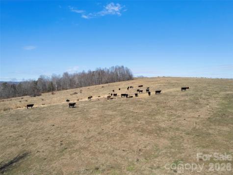 9999 Walker Road Nebo NC 28761