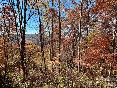 0 Grizzly Ridge Bryson City NC 28713