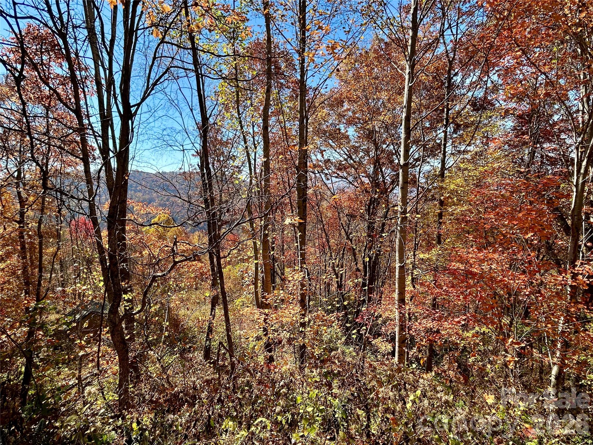 0 Grizzly Ridge Bryson City NC 28713