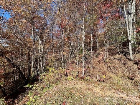 0 Grizzly Ridge Bryson City NC 28713