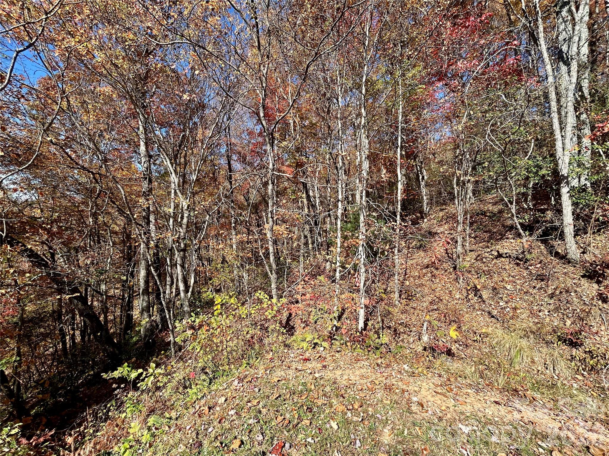 0 Grizzly Ridge Bryson City NC 28713