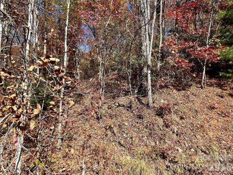 0 Grizzly Ridge Bryson City NC 28713