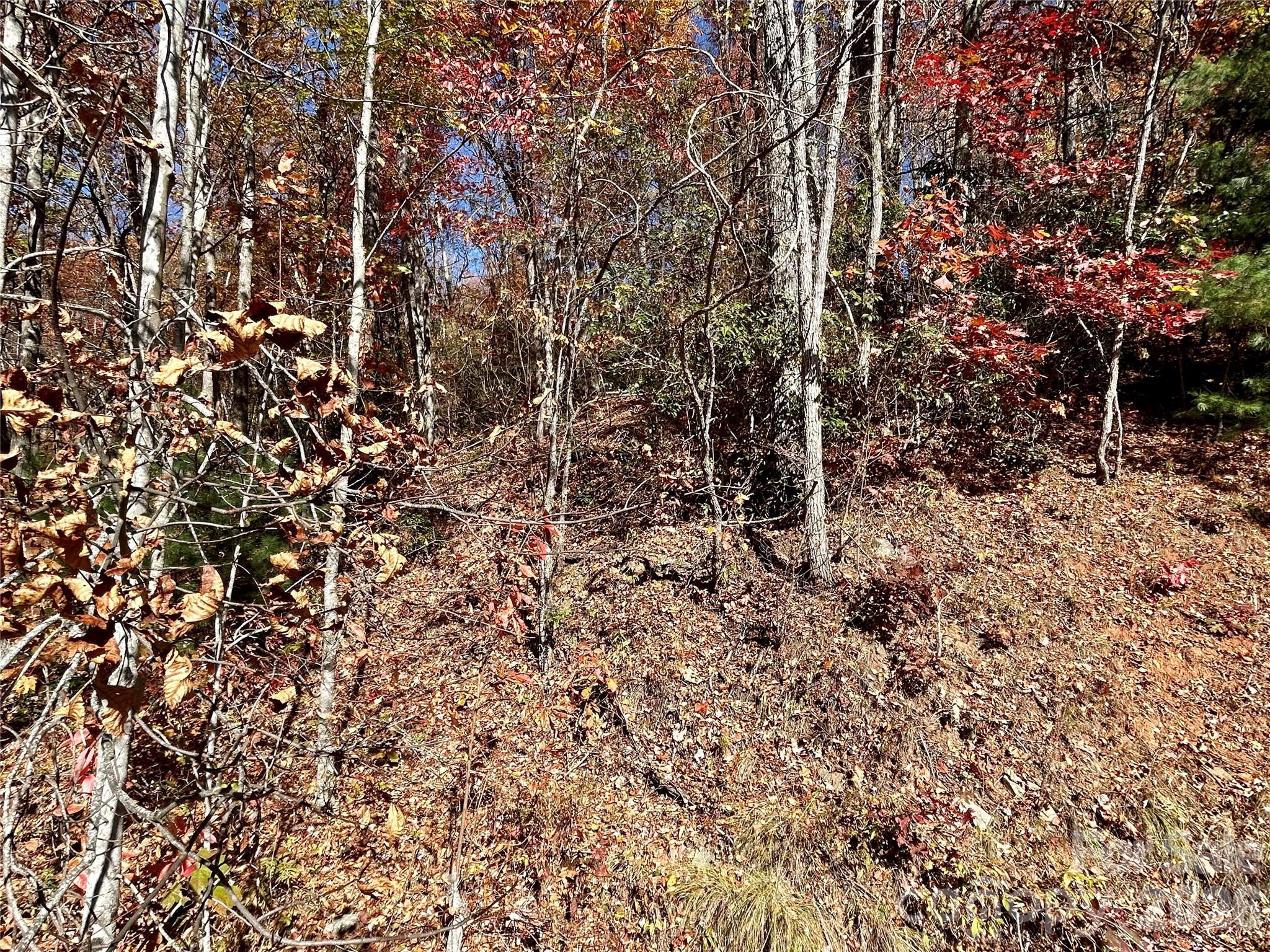 0 Grizzly Ridge Bryson City NC 28713