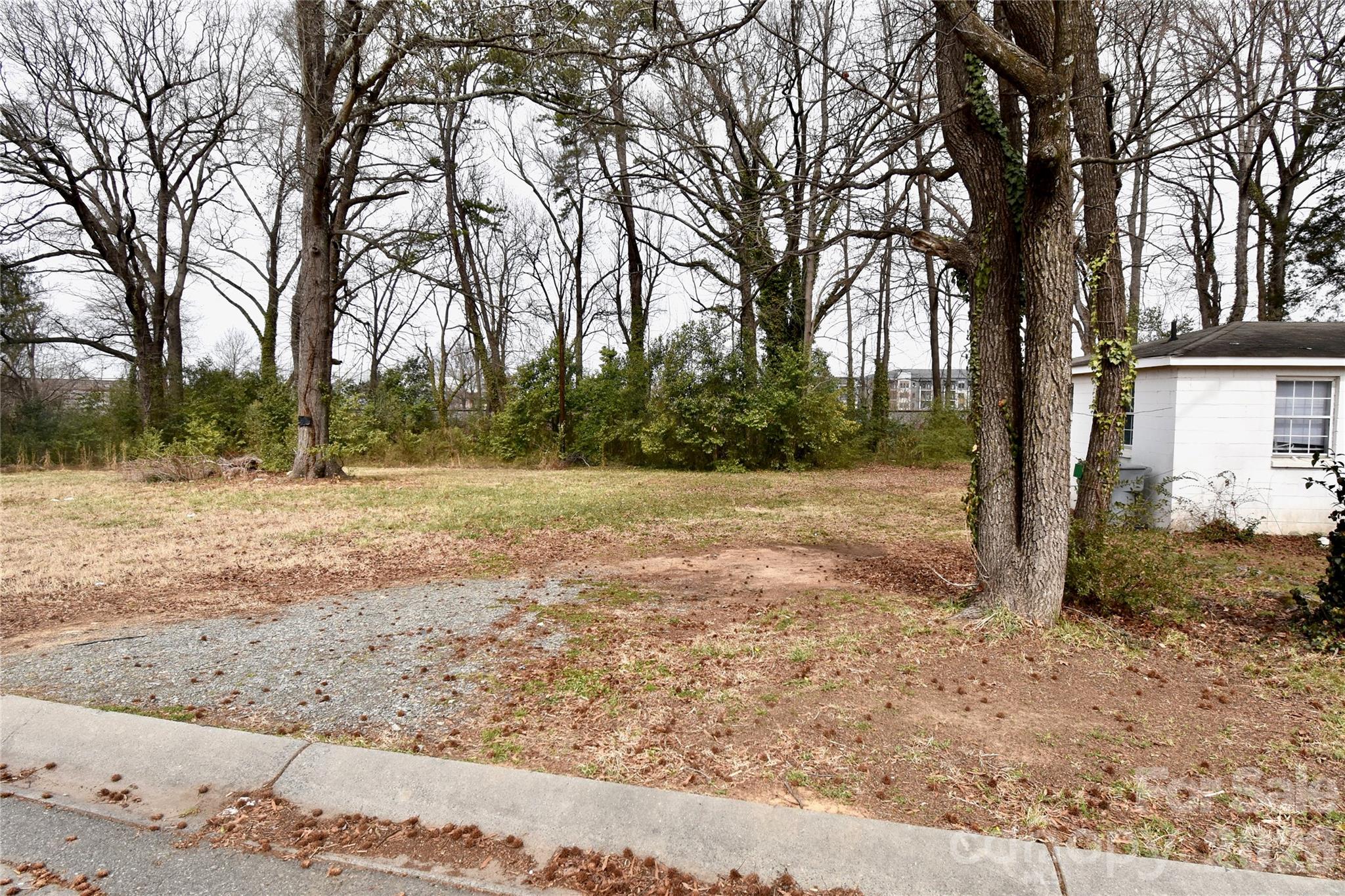 4117 Bearwood Avenue Charlotte NC 28205