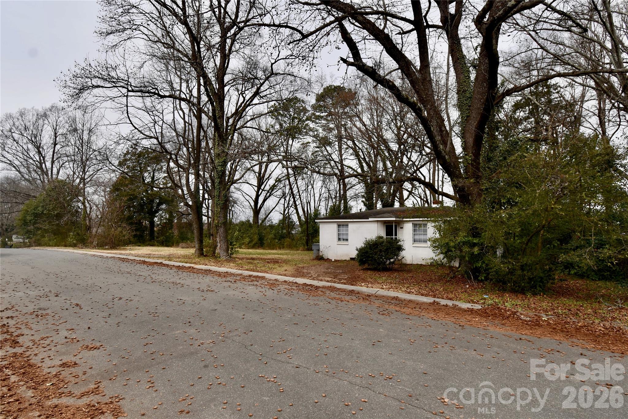 4117 Bearwood Avenue Charlotte NC 28205