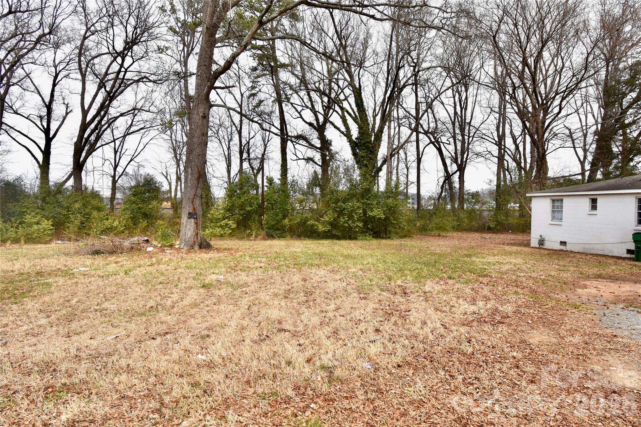 4117 Bearwood Avenue Charlotte NC 28205