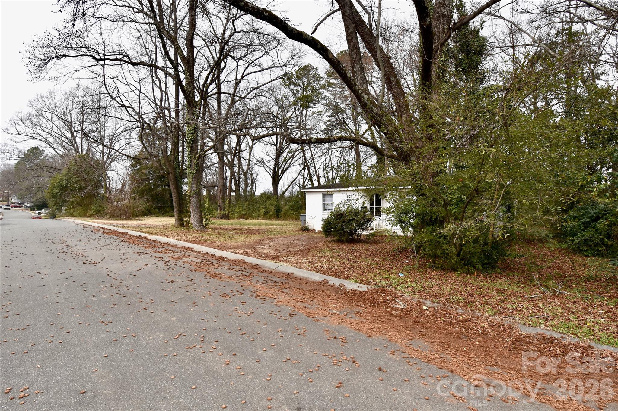 4117 Bearwood Avenue Charlotte NC 28205