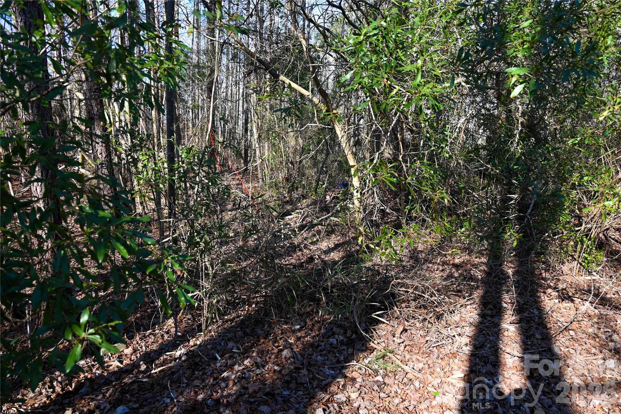276 Riverside Road Grifton NC 28530