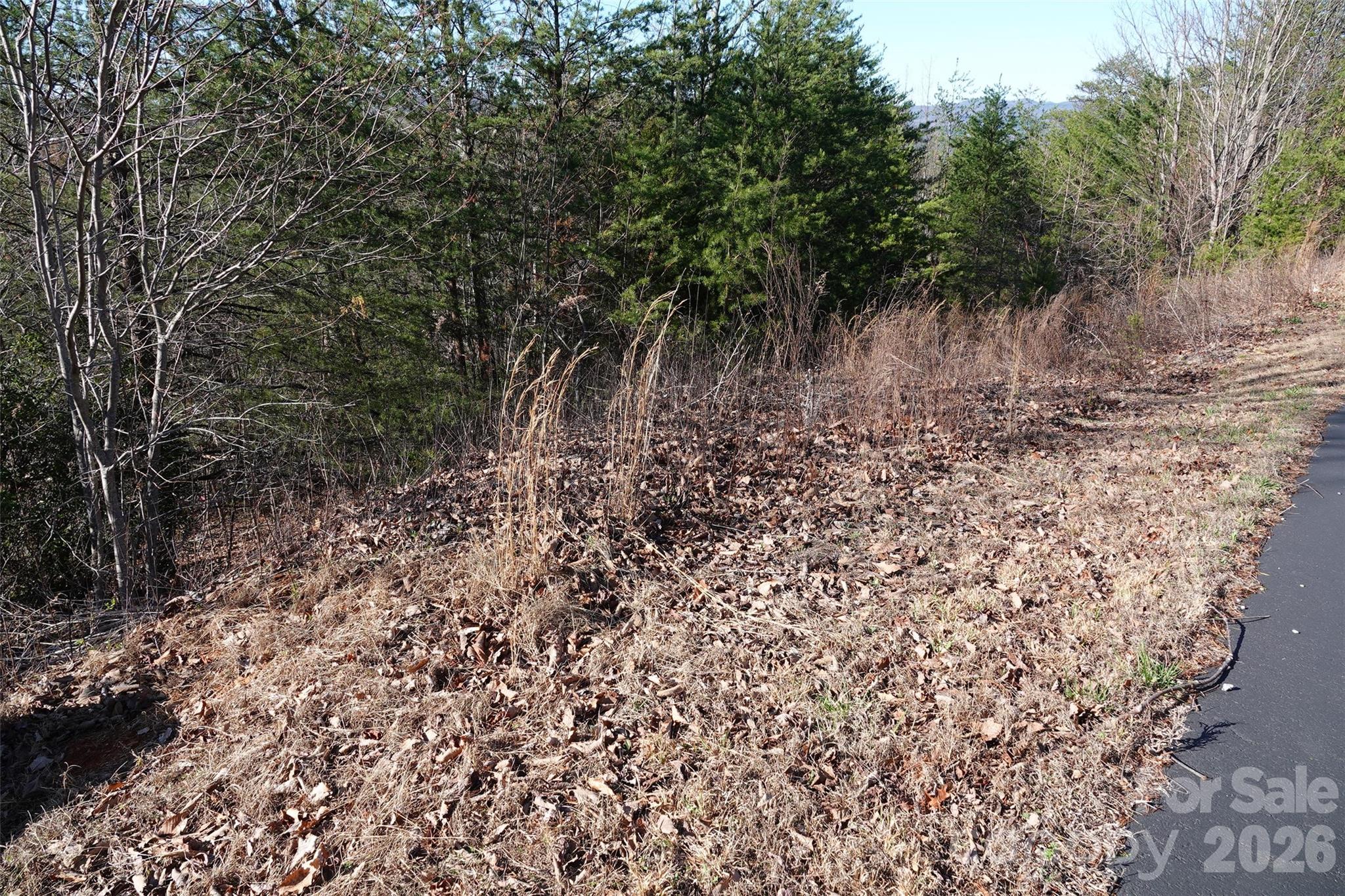 109 Ampersand Trail Bostic NC 28018