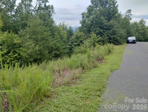 109 Ampersand Trail Bostic NC 28018