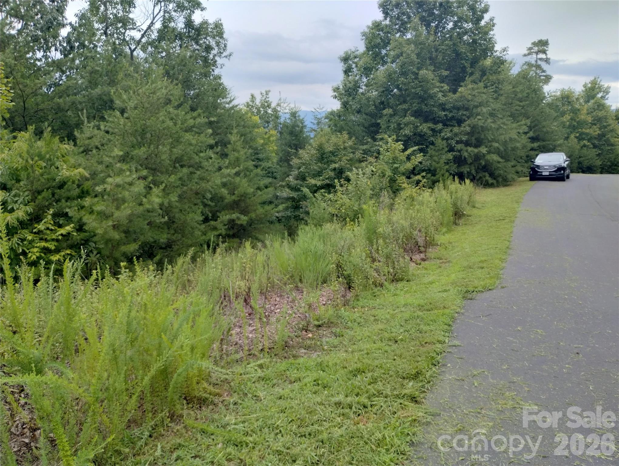 109 Ampersand Trail Bostic NC 28018