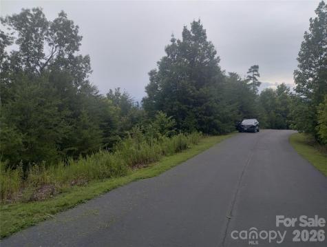 109 Ampersand Trail Bostic NC 28018