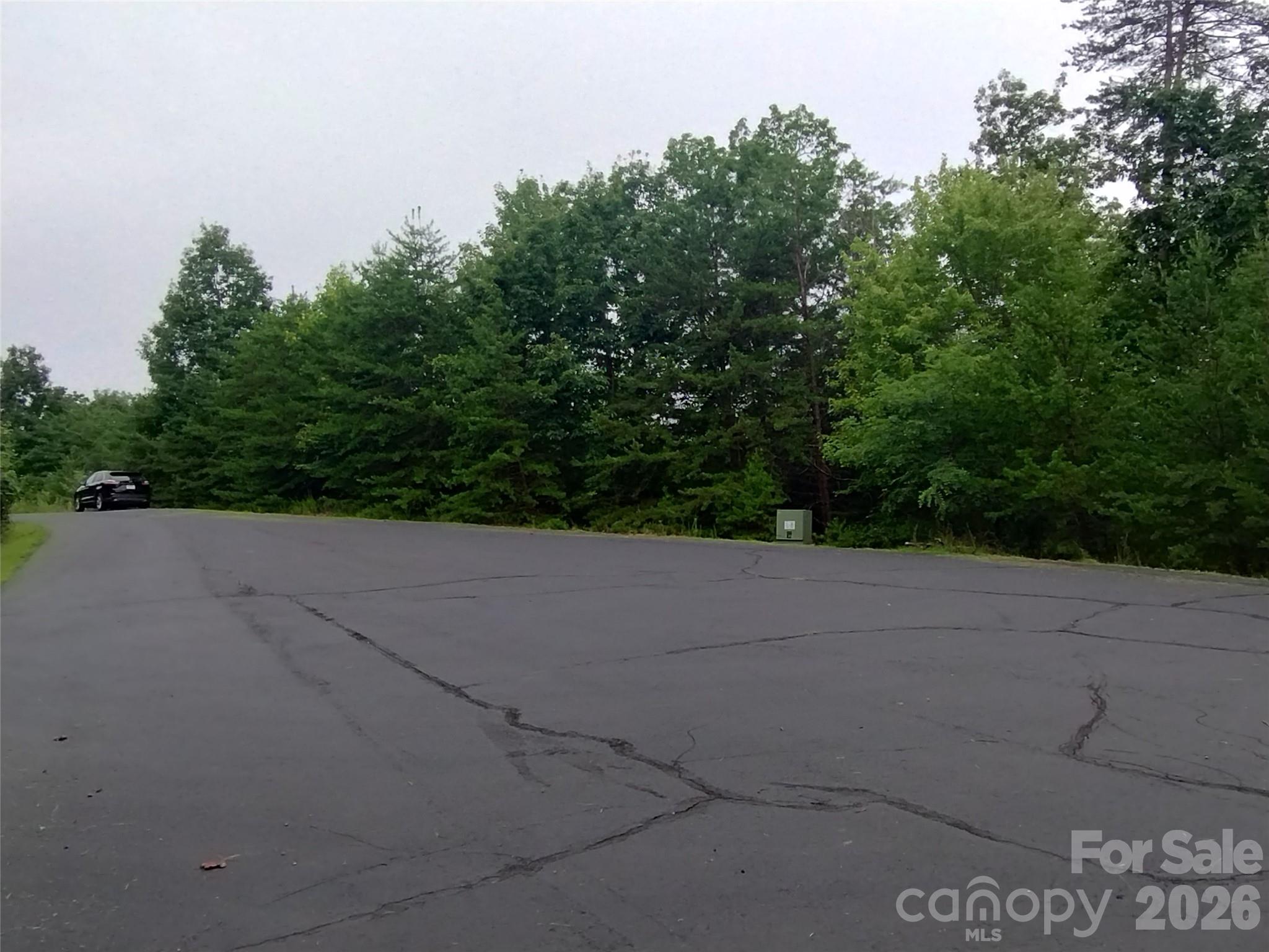 109 Ampersand Trail Bostic NC 28018