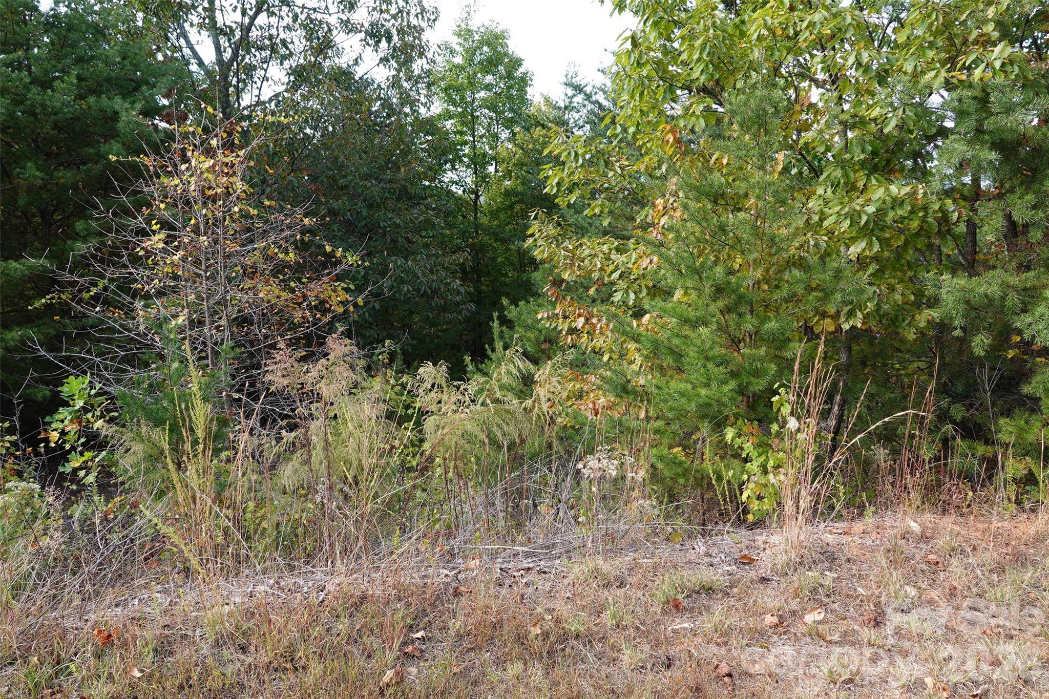 109 Ampersand Trail Bostic NC 28018