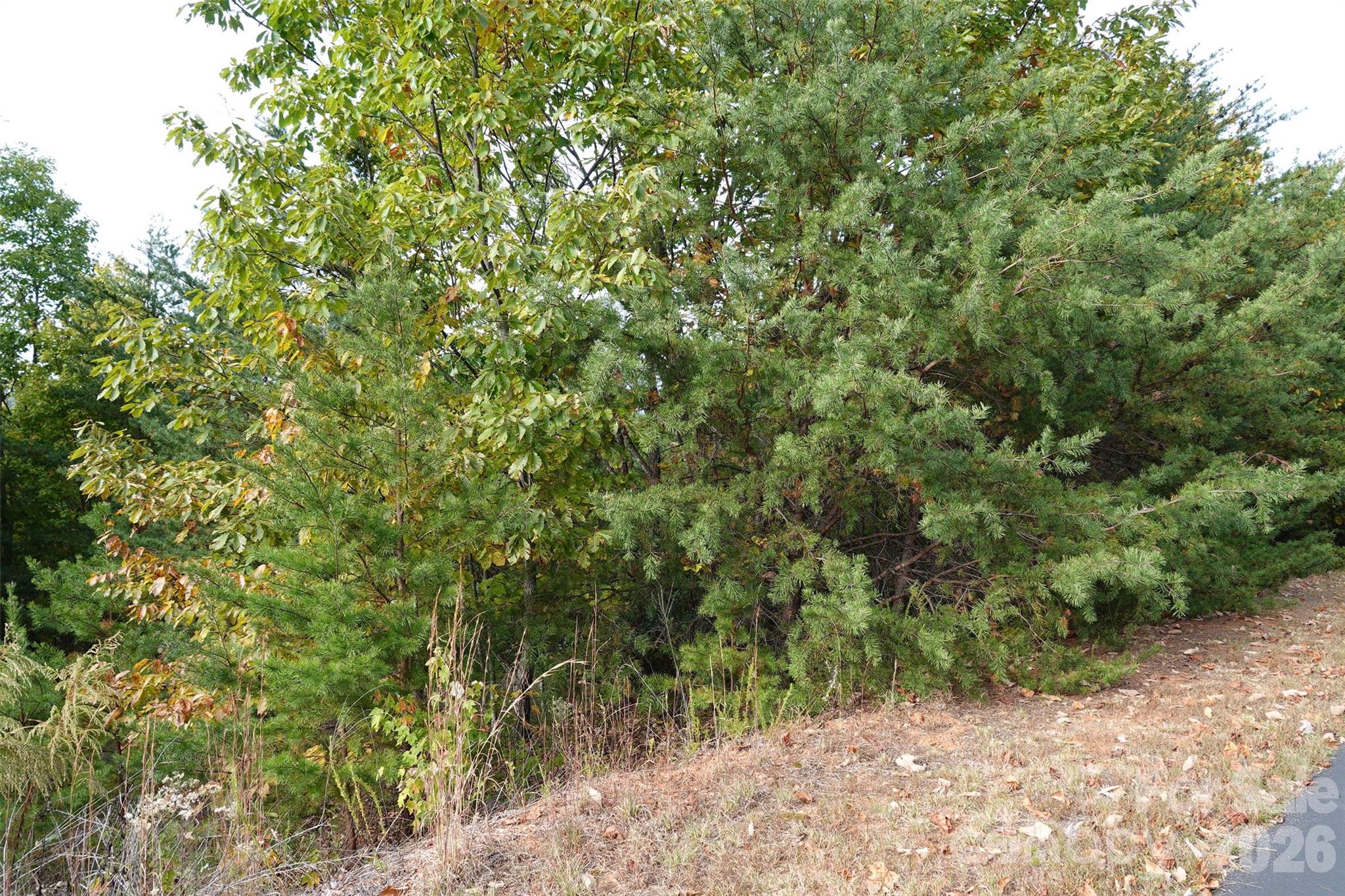 109 Ampersand Trail Bostic NC 28018
