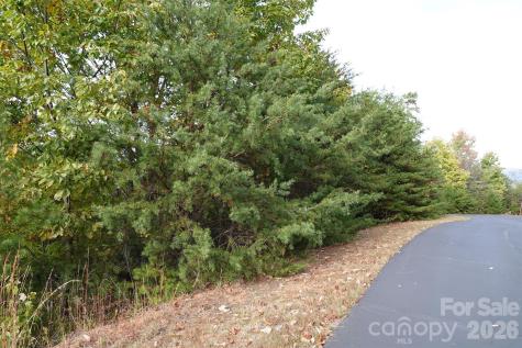 109 Ampersand Trail Bostic NC 28018