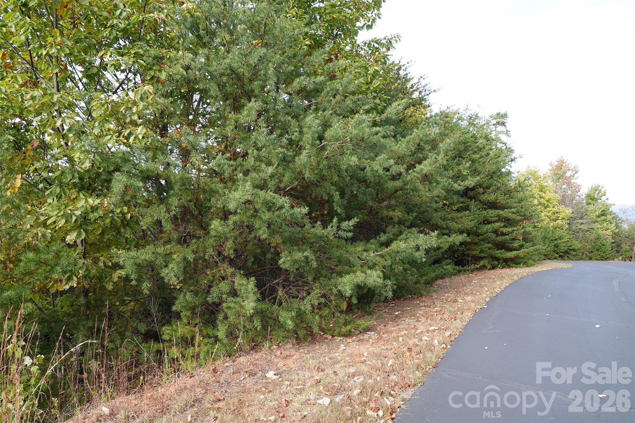 109 Ampersand Trail Bostic NC 28018
