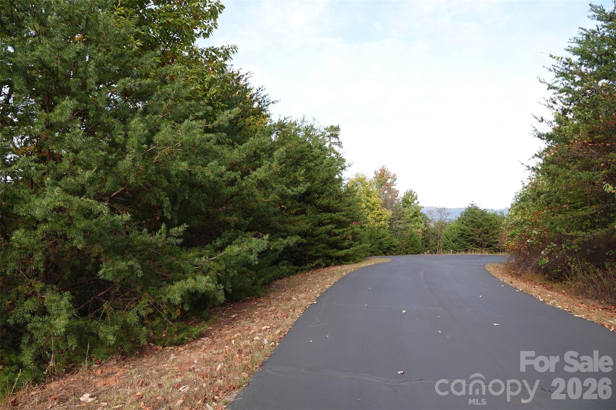 109 Ampersand Trail Bostic NC 28018