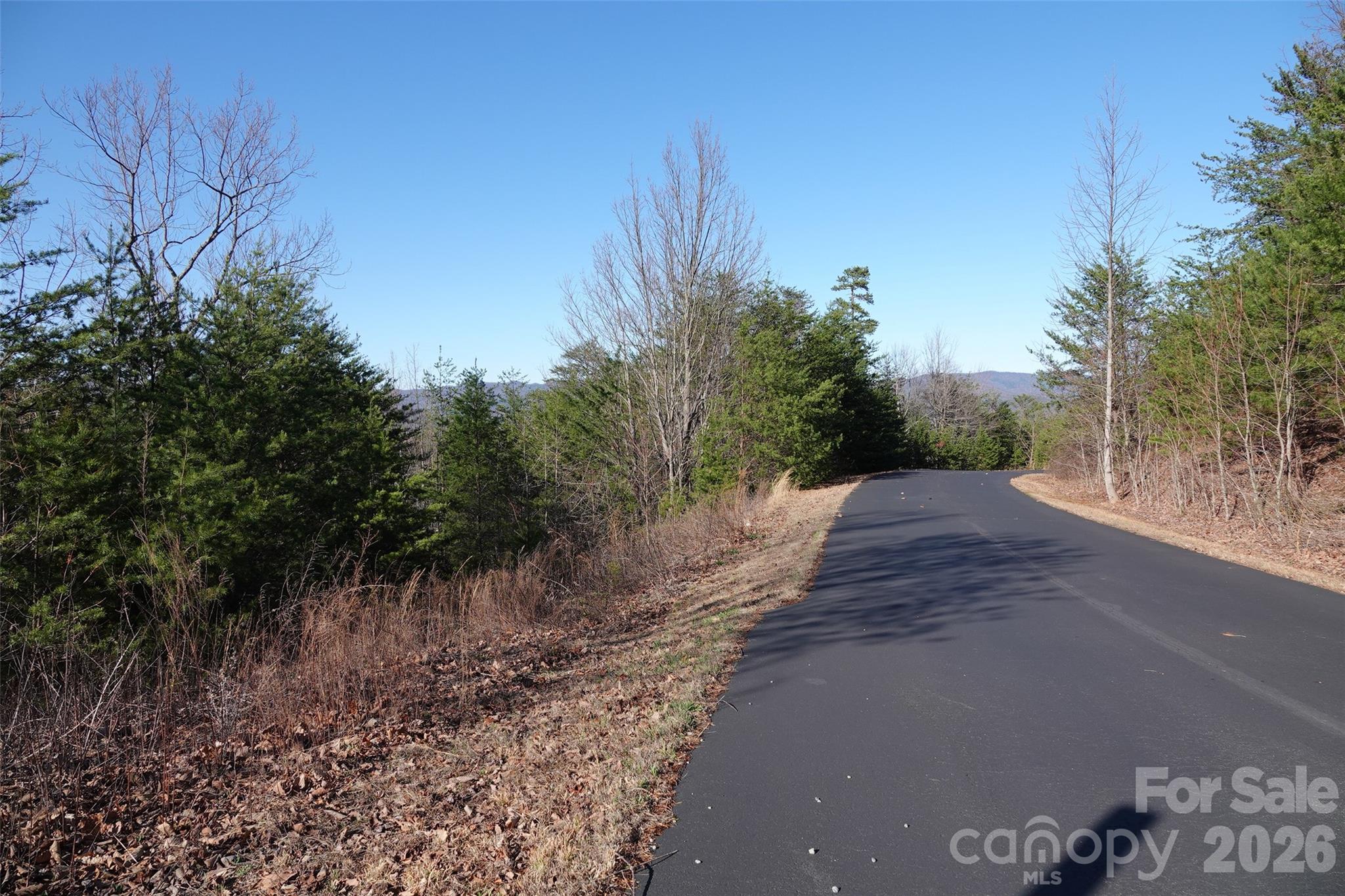 109 Ampersand Trail Bostic NC 28018