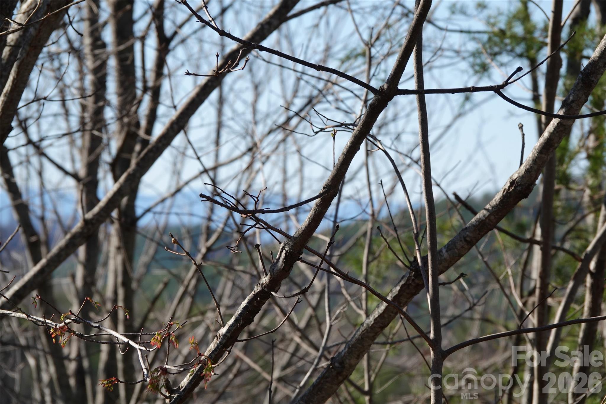 109 Ampersand Trail Bostic NC 28018