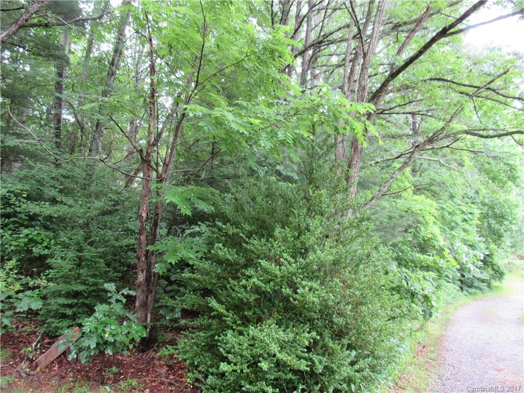 Tbd Old Chip Yard Drive Burnsville NC 28714