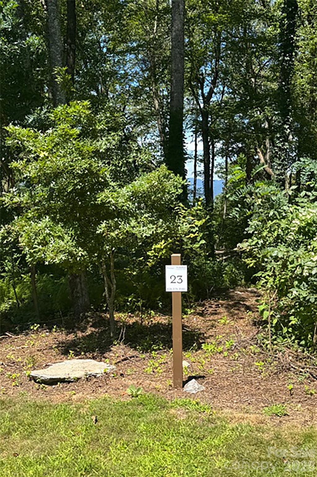 000 Laurel Ledge Way Fletcher NC 28732