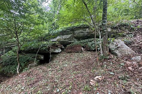 000 Laurel Ledge Way Fletcher NC 28732