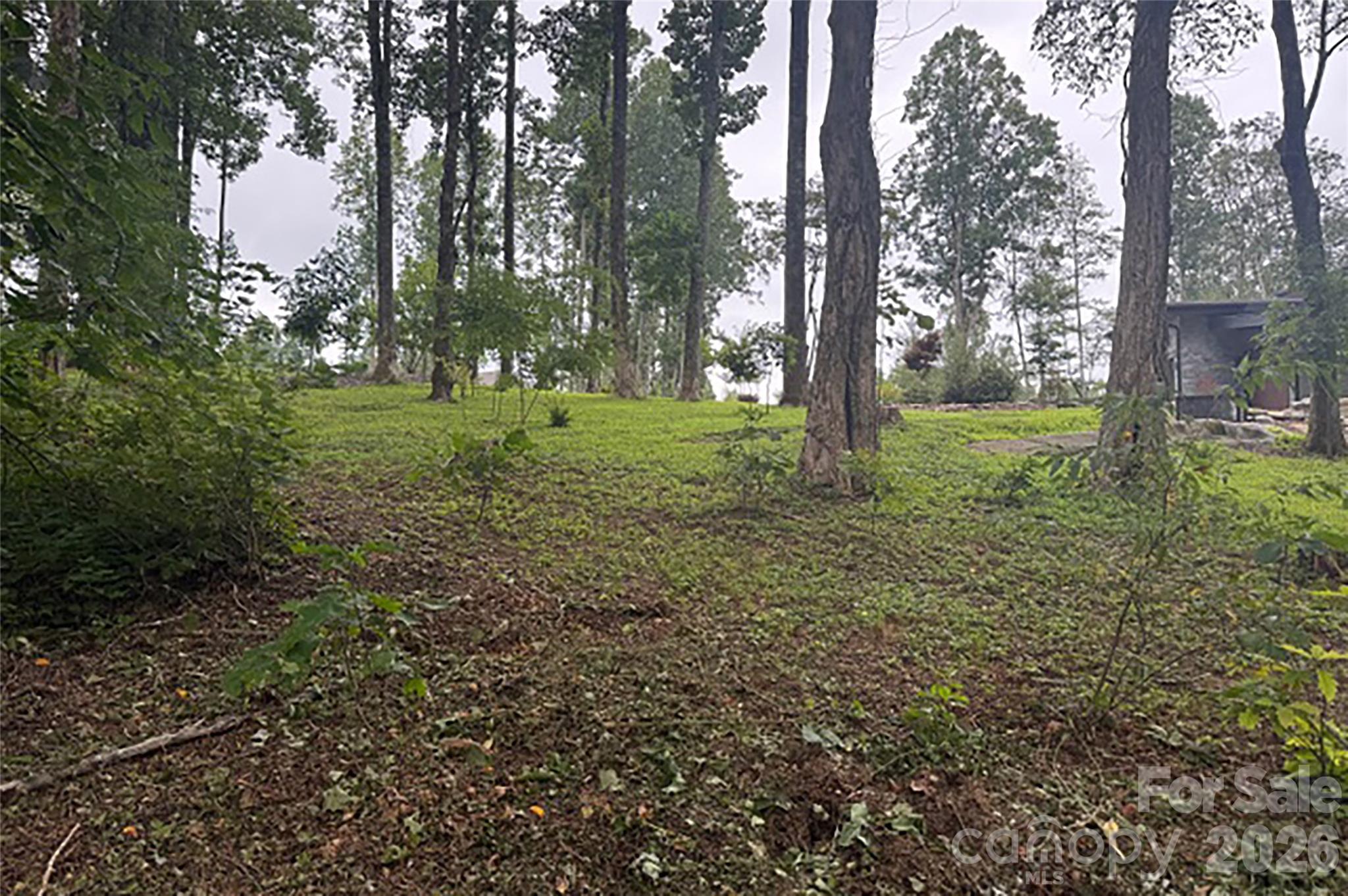 000 Laurel Ledge Way Fletcher NC 28732