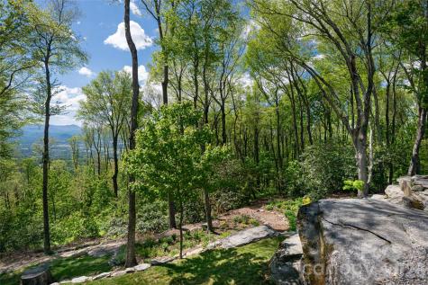 000 Laurel Ledge Way Fletcher NC 28732