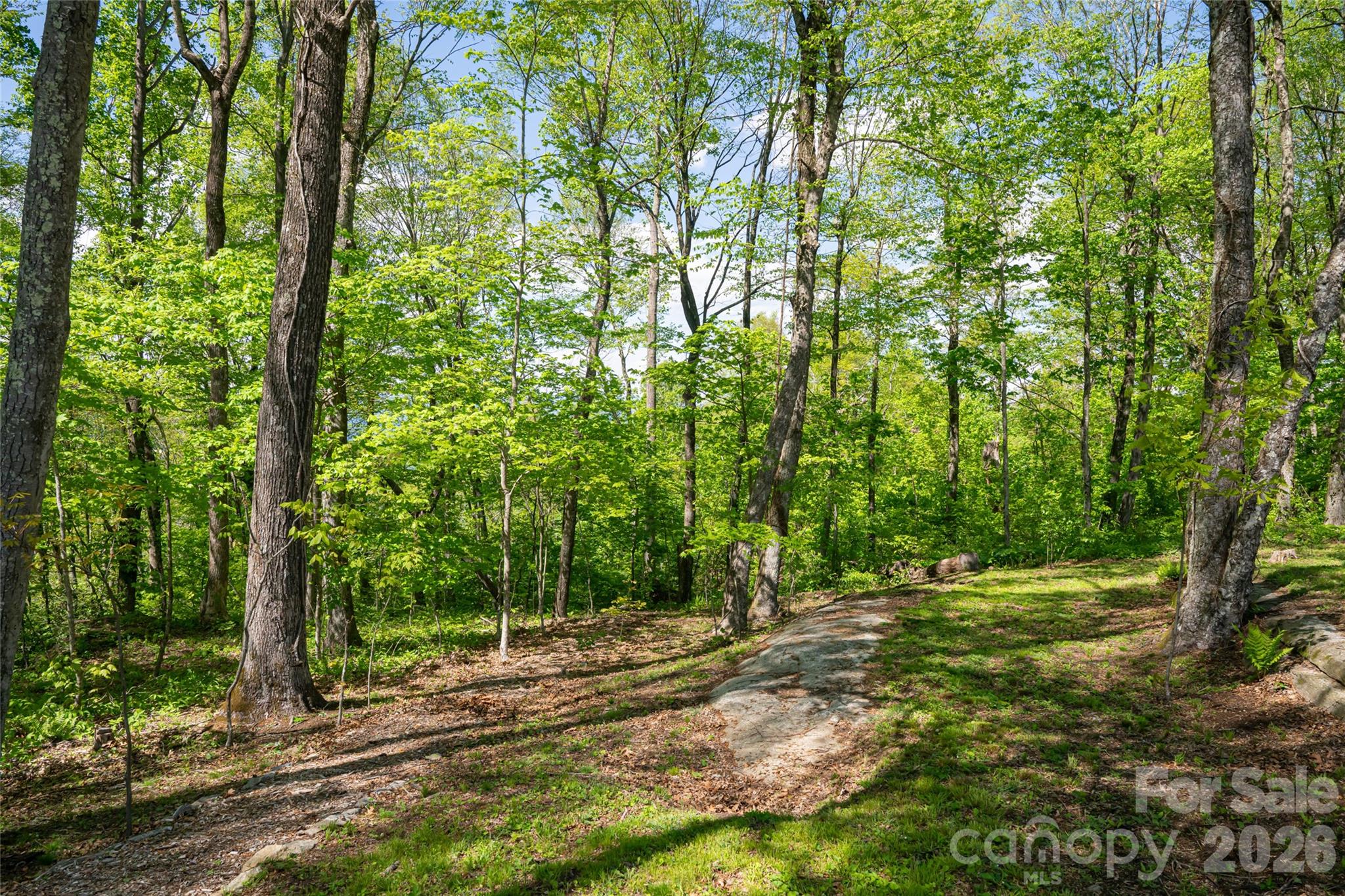 000 Laurel Ledge Way Fletcher NC 28732