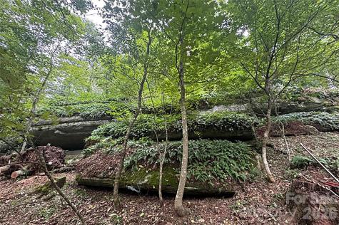 000 Laurel Ledge Way Fletcher NC 28732
